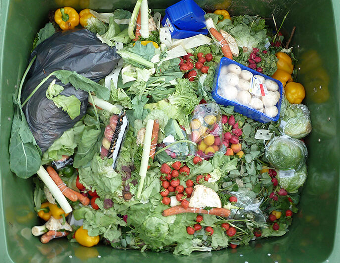 Treasure_trove_of_wasted_food_sm2